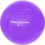 POWER SYSTEM PRO GYMBALL 65CM PURPLE
